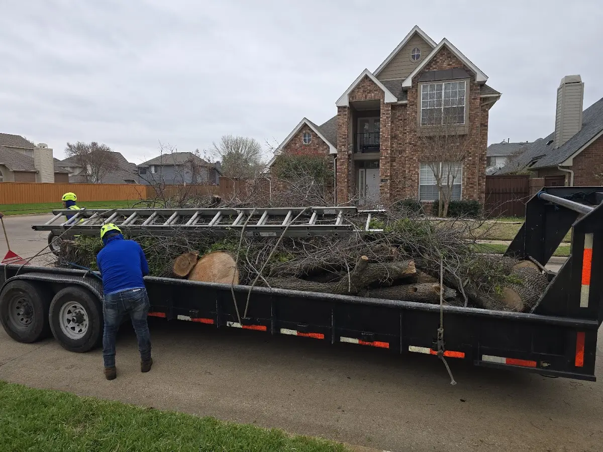 Expert Tree Fertilization with proper safety equipment in Mcloud